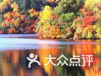 从武校毕业能做什么工作?-冷知识分享平台