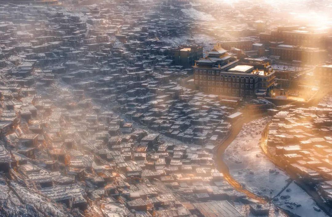 了解如何给领导挡酒?平台,解锁知识星球的无限魅力